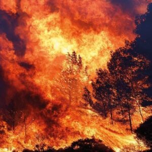 fransanin atesle dansi suruyor 16 bin hektar kul oldu BrGslwEj