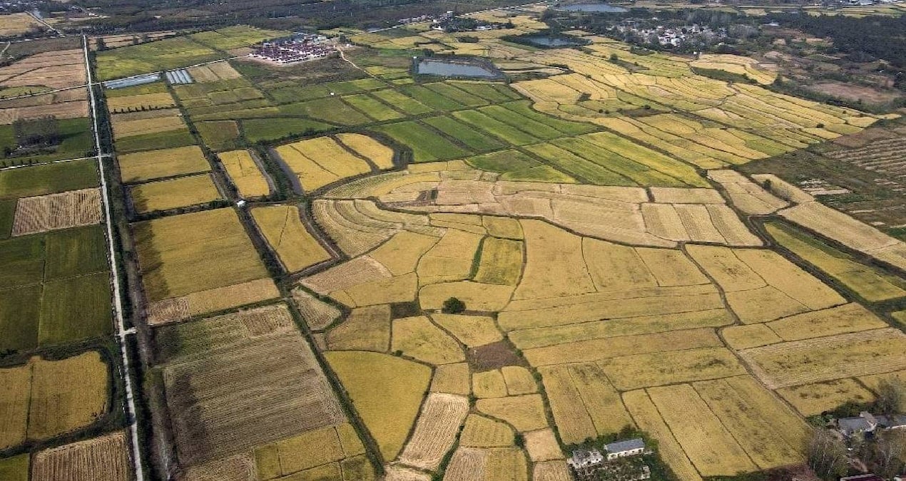 arsa alacaklar olanlar dikkat yargitaydan emsal karar fU3LjdSC