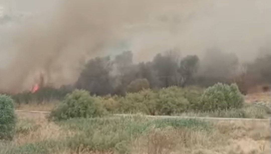 beypazarinda otluk alanda yangin jwwmwkxB