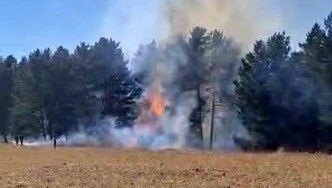 sarikamista orman yangini i6lWWe85.jpg