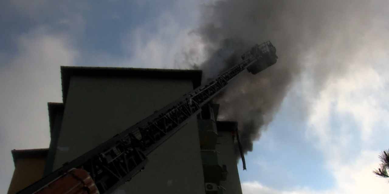 Engelli Köpek Yangında Sıkıştı, Kahraman Komşular Yardım Etti