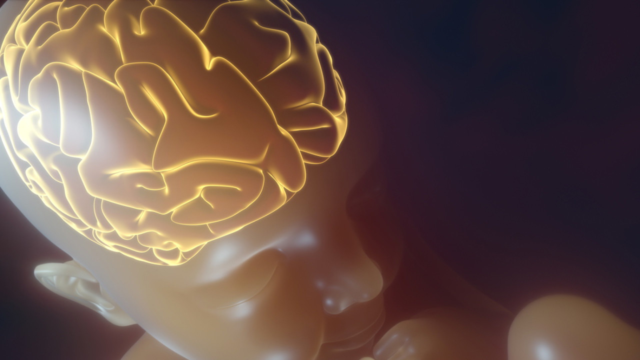 Ailelere Sağlıklı Nesiller Yetiştirme Uyarısı